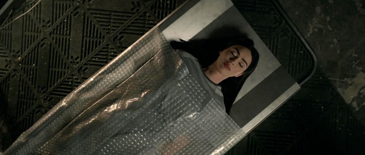 Photo du film Subservience [2024]