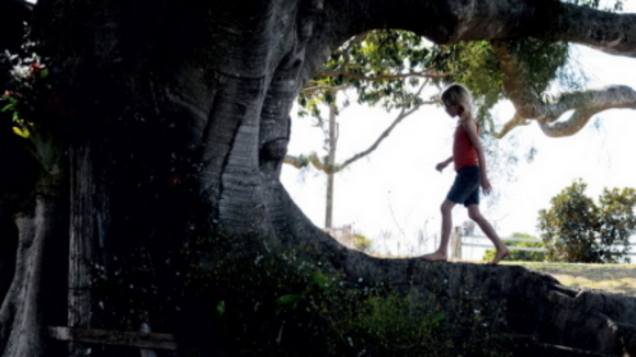 Photo from the movie The Tree