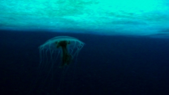 Photo from the movie The Wild Blue Yonder