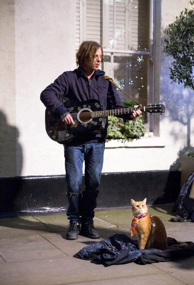 Photo from the movie A Street Cat Named Bob