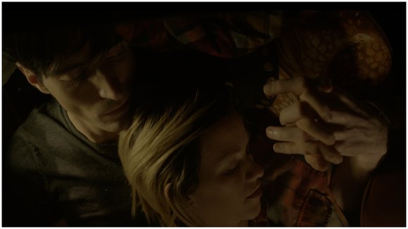 Photo du film Animals