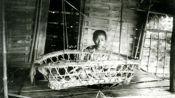 Photo du film Chang: A Drama of the Wilderness