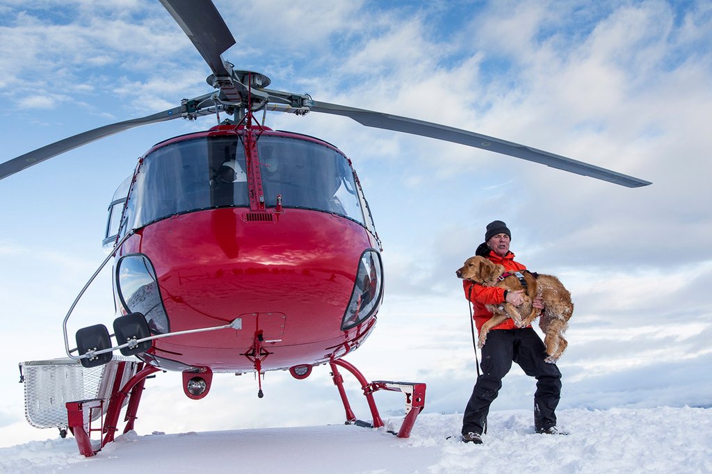 Photo from the movie Super chiens