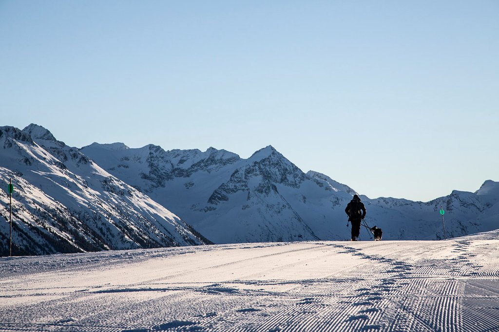 Photo from the movie Super chiens