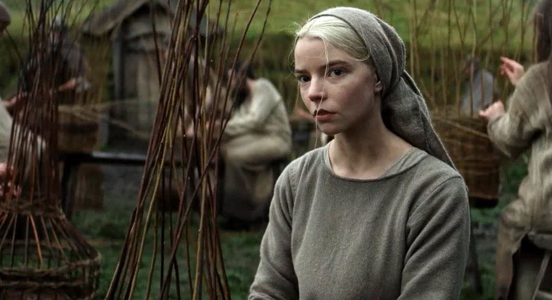 Photo du film The Northman [2022]