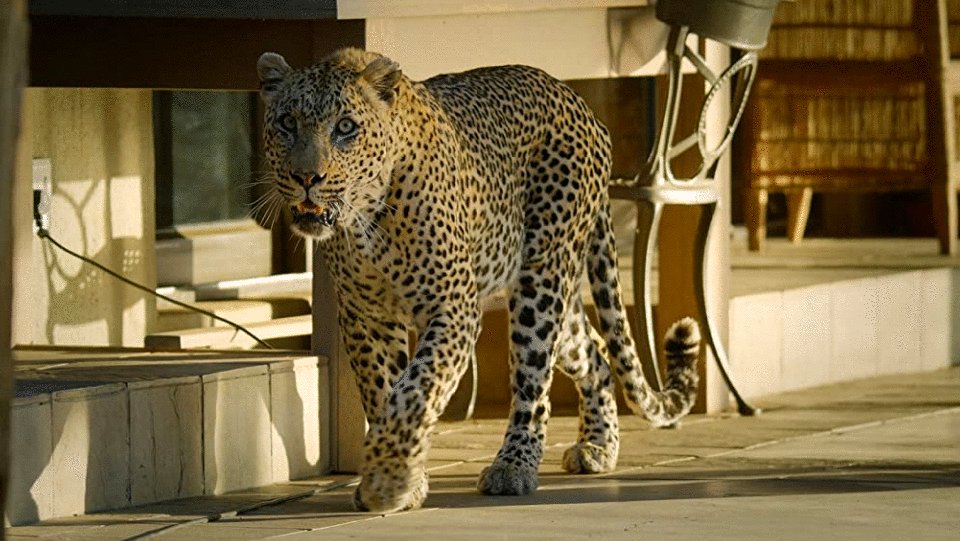 Photo from the movie The Year Earth Changed