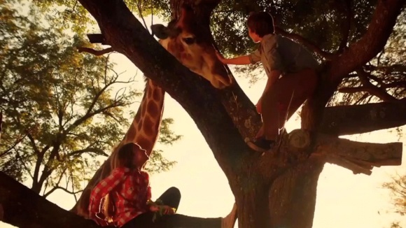 Photo du film Against the Wild 2: Survive the Serengeti [2016]