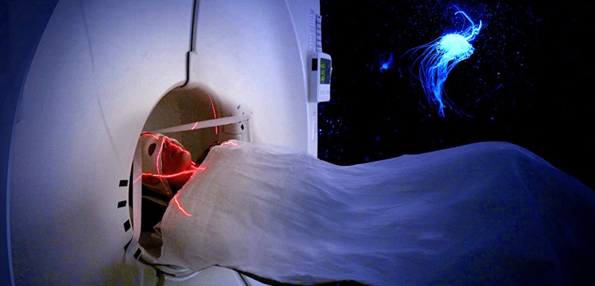 Photo from the movie Aware: Glimpses of Consciousness [2021]