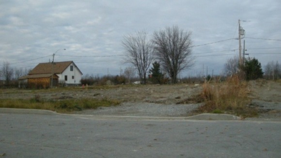 Photo du film L'Or des autres [2011]