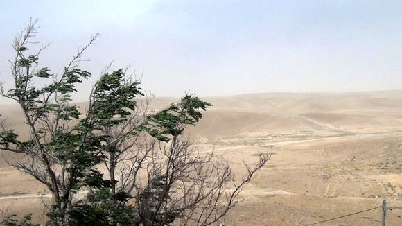 Photo du film No Home Movie [2015]