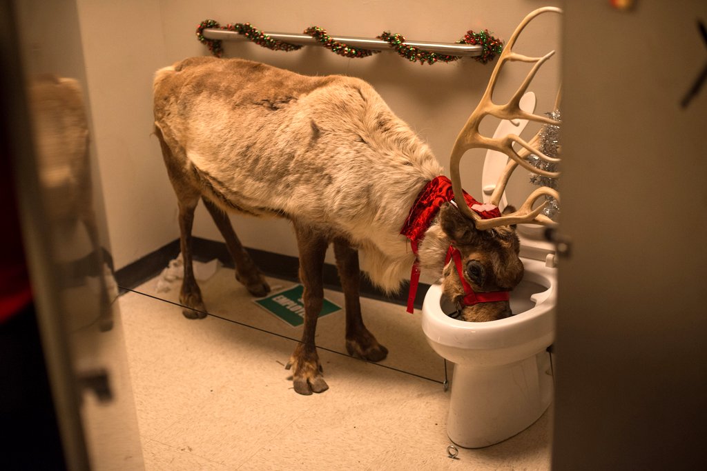 Photo du film Office Christmas Party