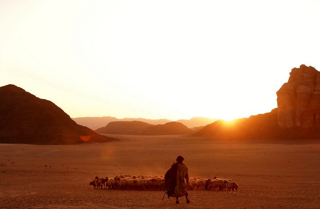 Photo from the movie Aadujeevitham