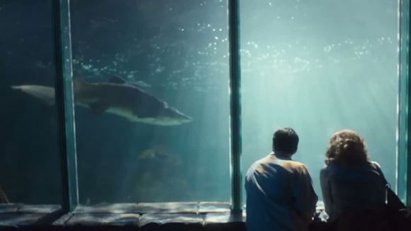 Photo du film Run & Jump