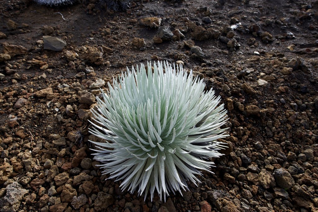 Photo from the movie The Search for Life in Space