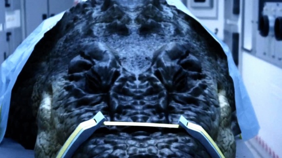 Photo from the movie Lake Placid vs. Anaconda