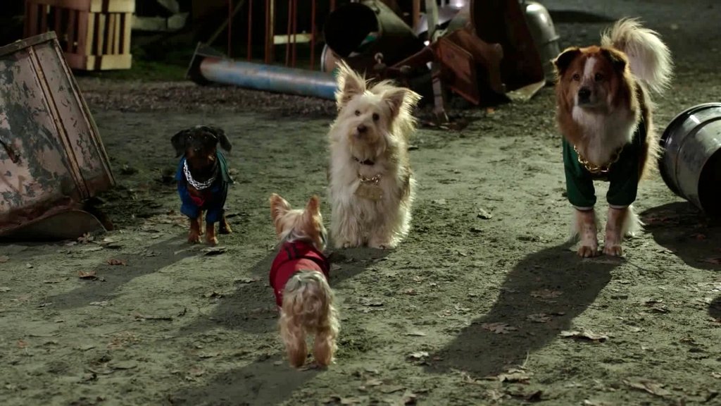 Photo from the movie Pup Star: Better 2Gether