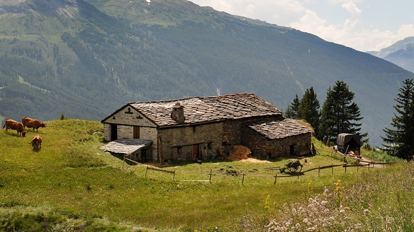 Photo from the movie Belle and Sebastian