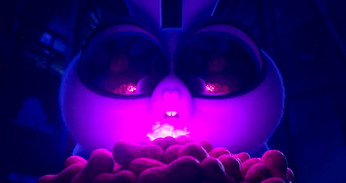 Photo du film Night of the Zoopocalypse