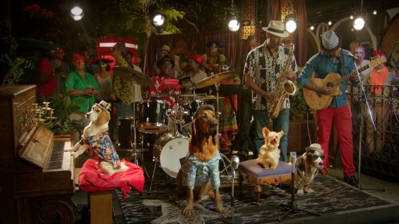 Photo from the movie Pup Star [2016]