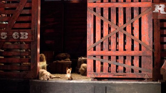 Photo from the movie Pup Star [2016]