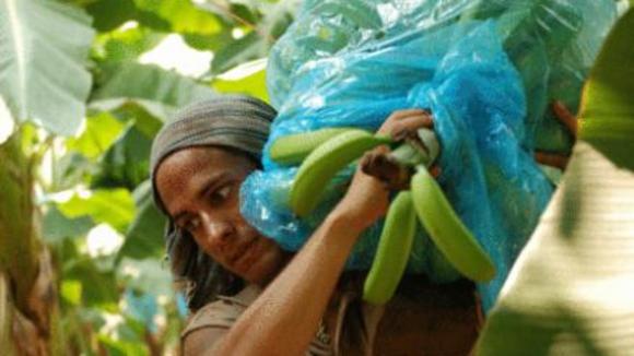 Photo du film Rudo y Cursi