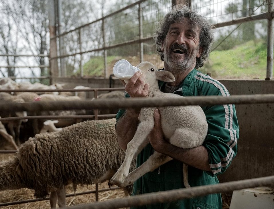 Photo from the movie Old Dog, New Tricks [2025]