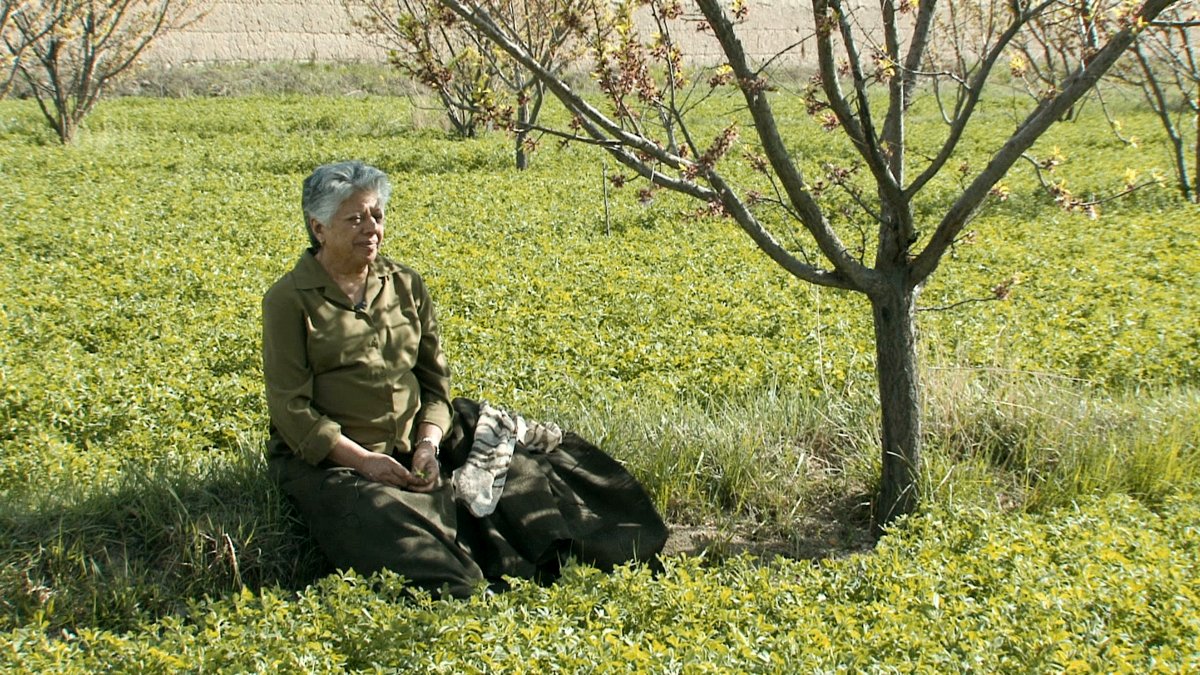 Photo from the movie Parlika [2016]