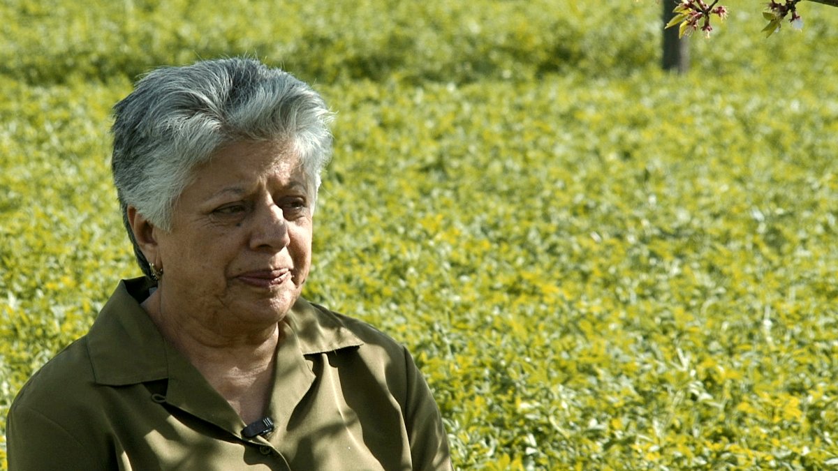 Photo from the movie Parlika [2016]