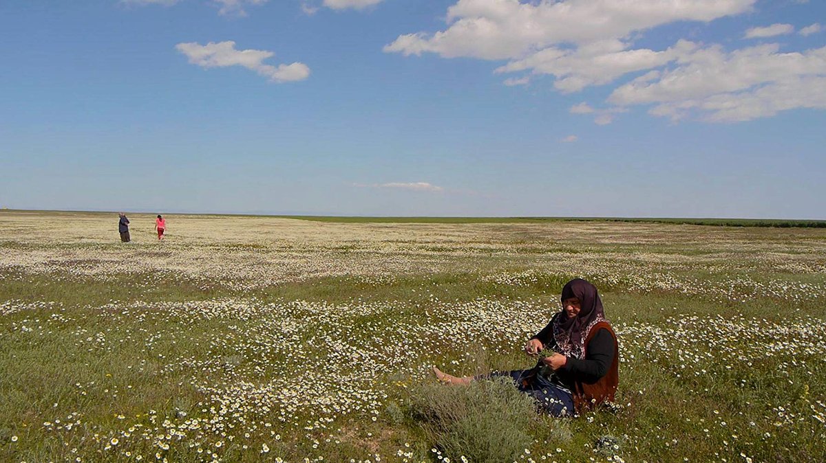 Photo from the movie Xalko [2018]