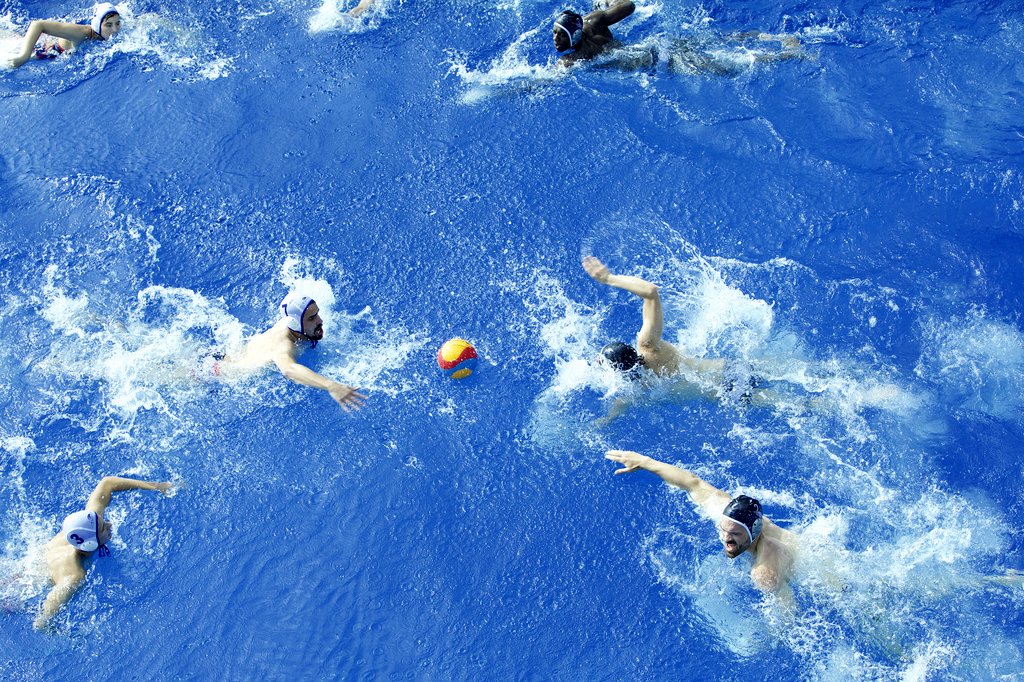 Photo du film Les crevettes pailletées