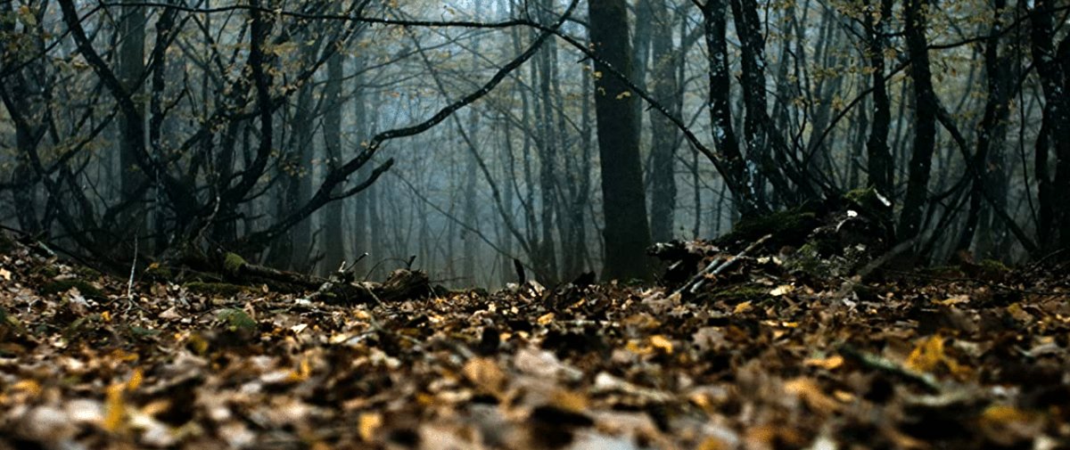 Photo du film Les Animaux Anonymes [2020]