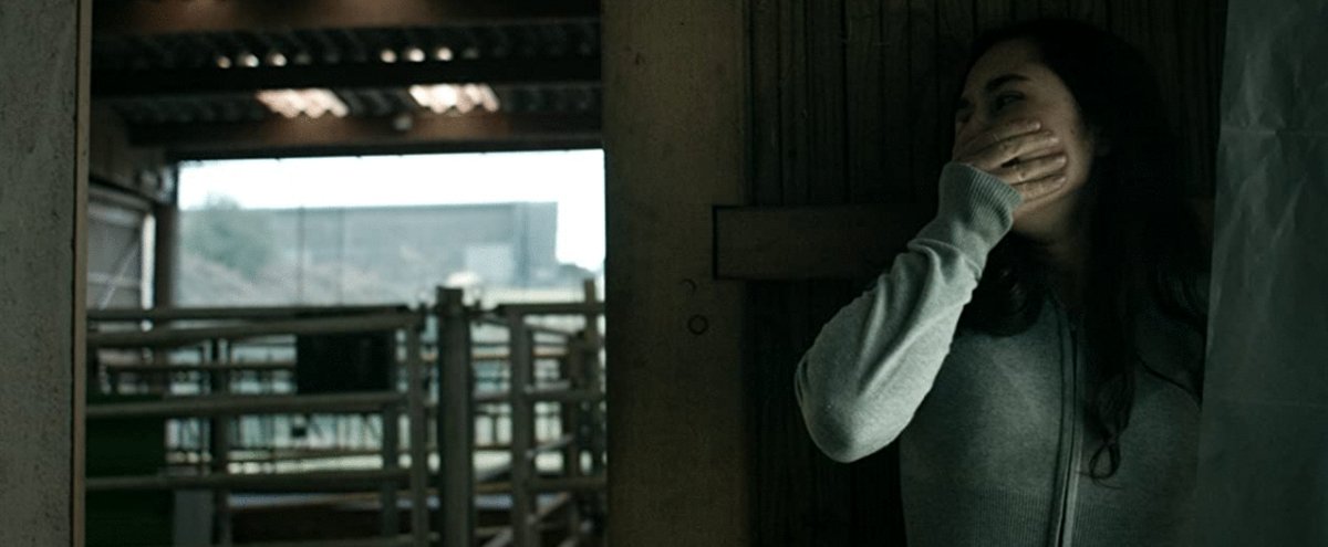 Photo du film Les Animaux Anonymes [2020]