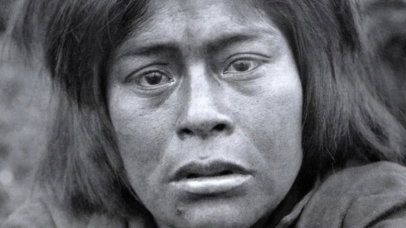 Photo du film Le Bouton de Nacre [2015]