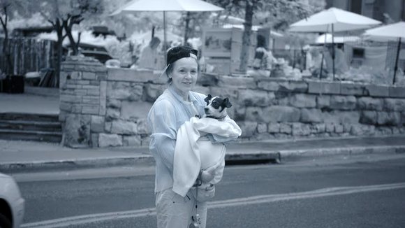 Photo from the movie Heart of a Dog