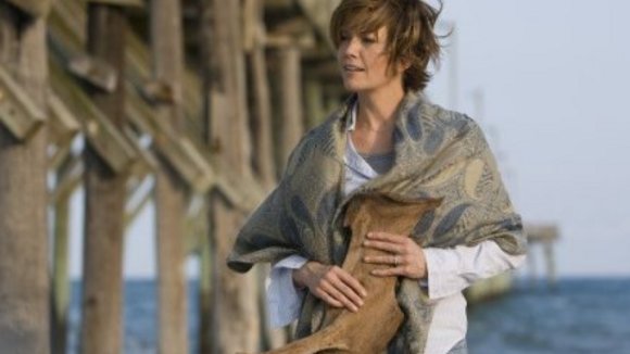 Photo du film Le Temps d'un ouragan