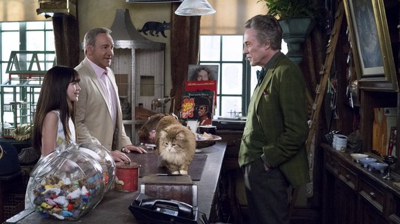 Photo du film Les Neuf vies de M. Boule-de-poil