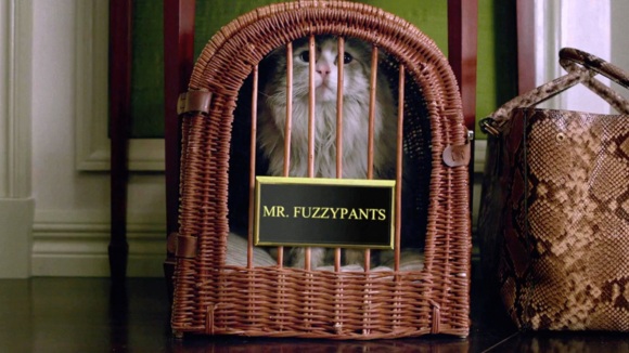 Photo du film Les Neuf vies de M. Boule-de-poil