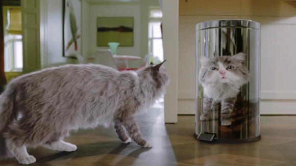 Photo du film Les Neuf vies de M. Boule-de-poil