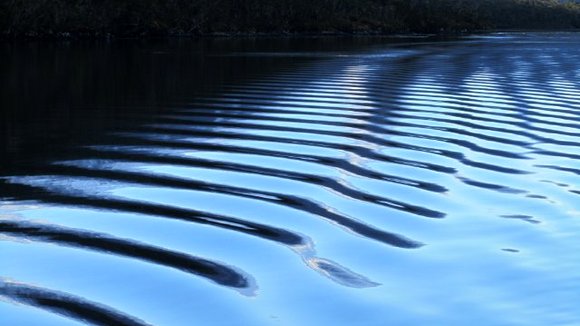 Photo du film Le Bouton de Nacre [2015]