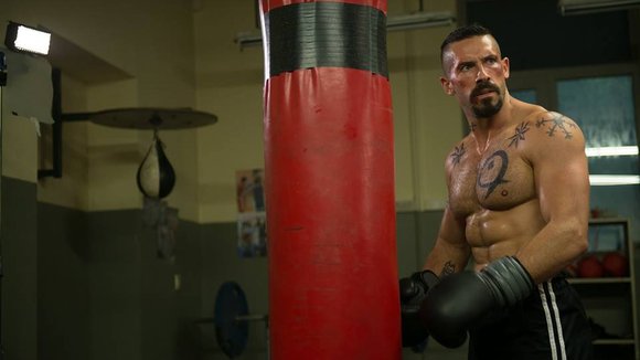 Photo from the movie Boyka: Undisputed IV [2016]