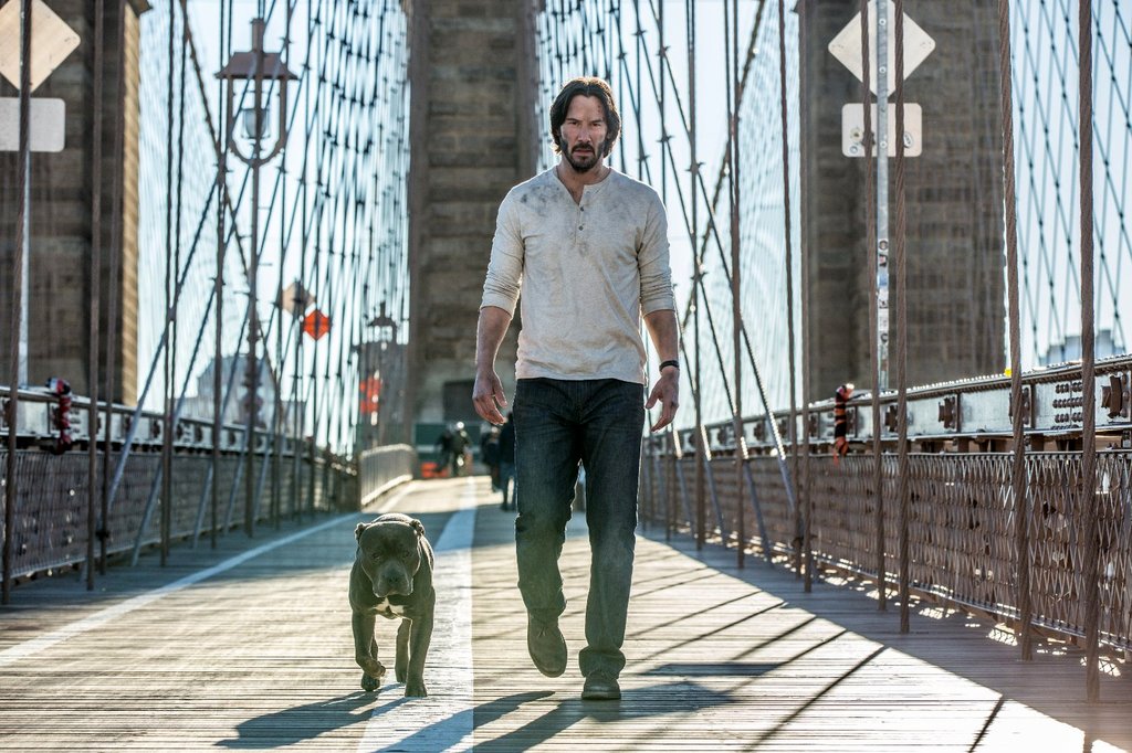 Photo du film John Wick: Chapter 2