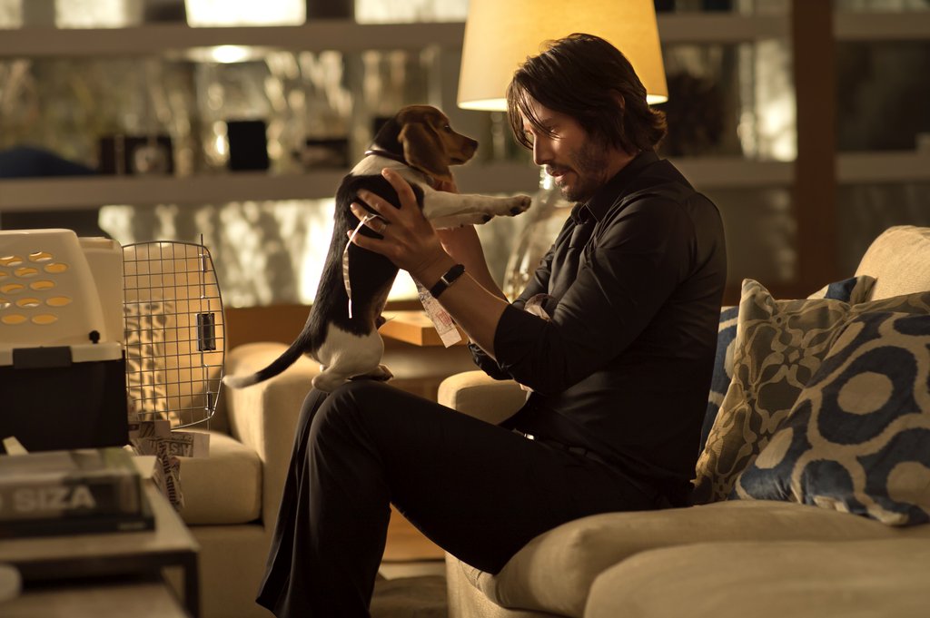 Photo du film John Wick: Chapter 2