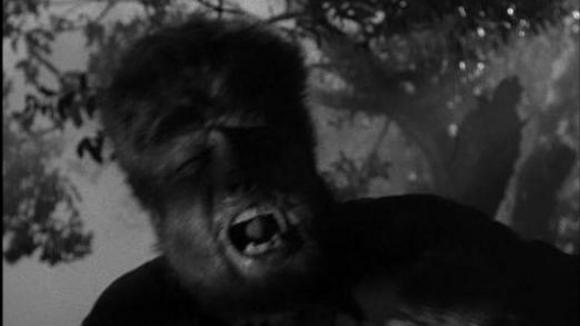 Photo from the movie The Wolf Man