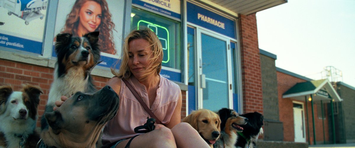 Photo from the movie Amour apocalypse