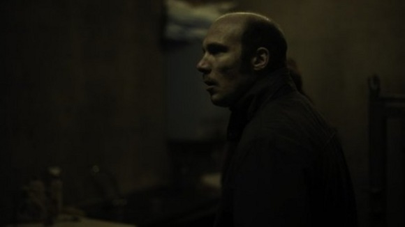 Photo du film Tête de boeuf