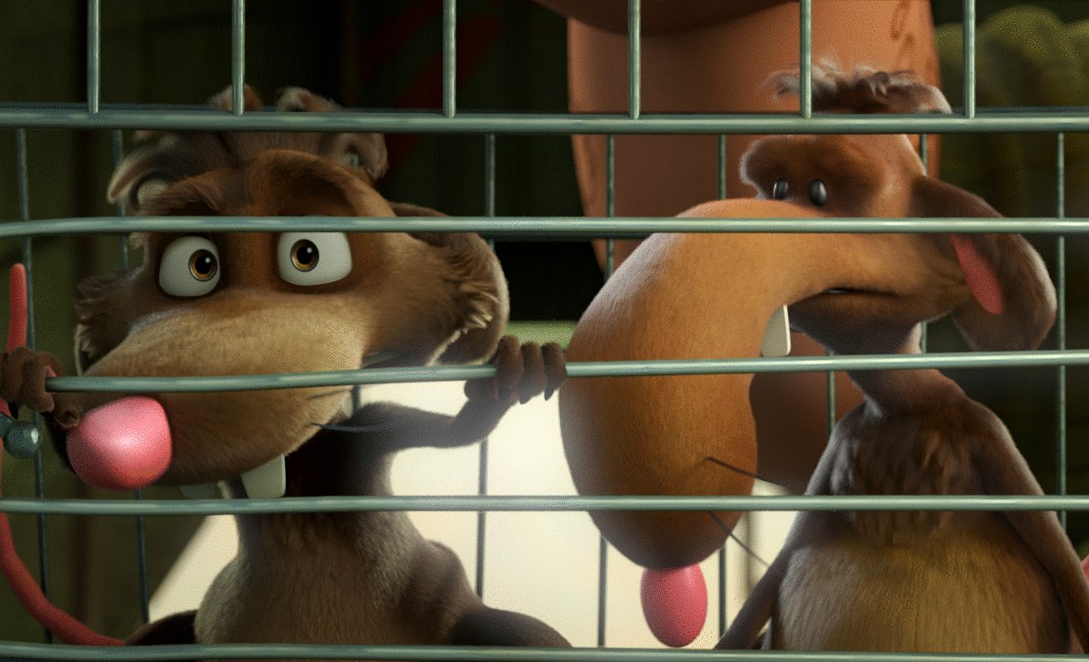 Photo du film À la rescousse des Petits Oeufs [2021]