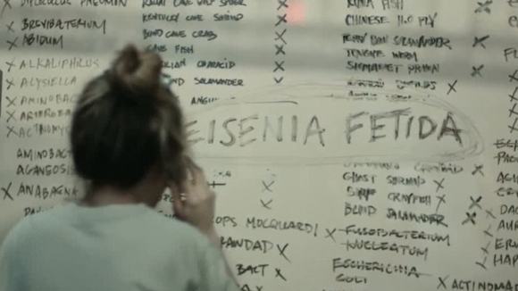 Photo from the movie I Origins