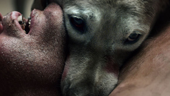 Photo from the movie The ABCs of Death