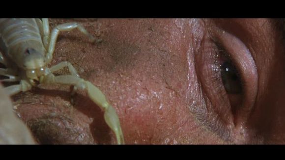 Photo du film Capricorn One