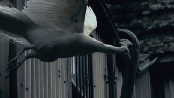 Photo from the movie I Origins